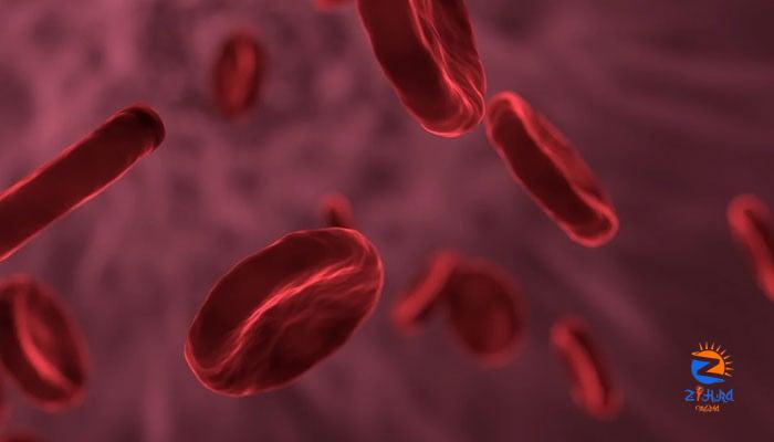 ‘Gene therapy potential cure for sickle cell disease’