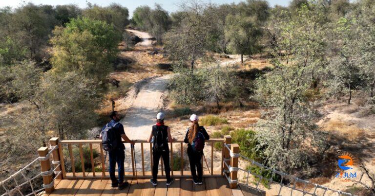 A stunning new 10km hiking trail to open in Dubai’s Mushrif National Park this month