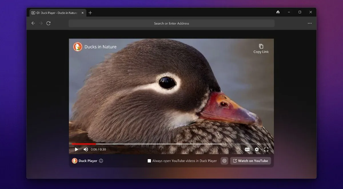 DuckDuckGo Web Browser Now Available On Windows Via Public Beta