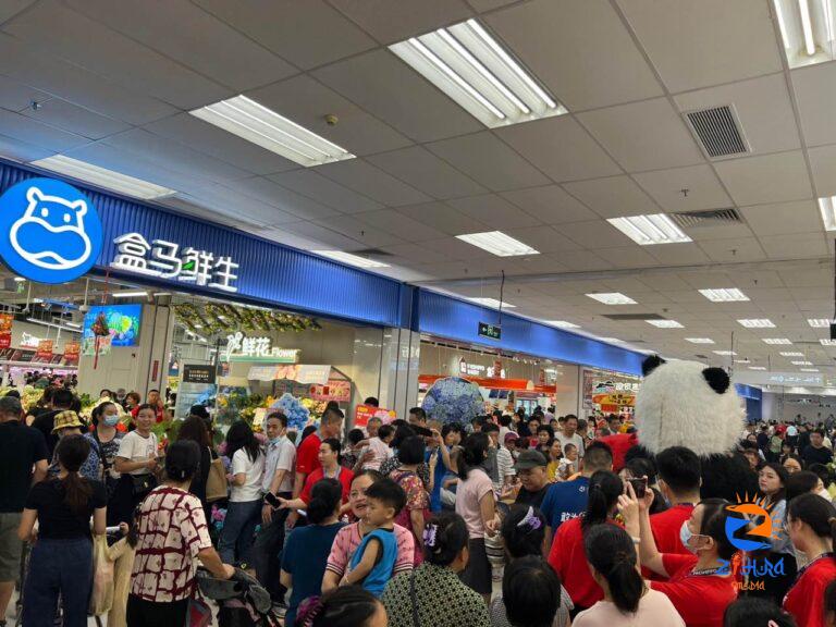 Intellasia East Asia News – Freshippo Accelerates Expansion with Same-Day Launch of 12 New Stores Across 8 Cities in Mainland China