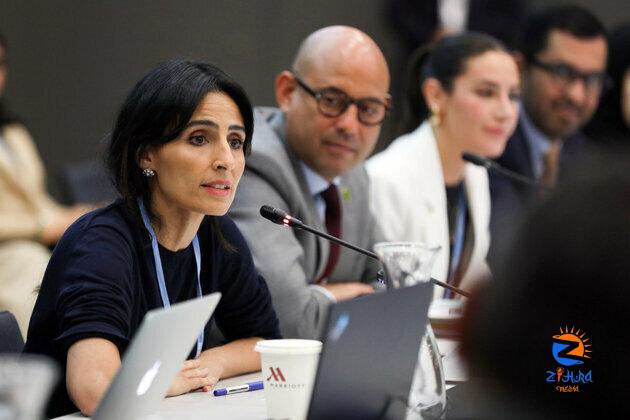 Razan Al Mubarak urges decisive climate action at Bonn Climate Change Conference