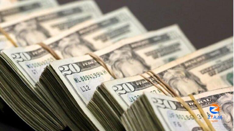 Foreign Exchange Reserves Jump $5.9 Billion to $595 Billion