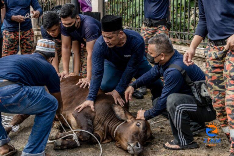 Muslims in Malaysia to celebrate Aidiladha on June 29