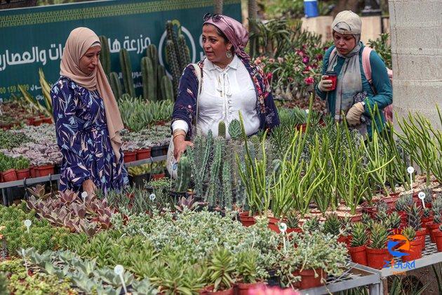 Egyptians gravitate to dazzling spring flowers expo in Cairo