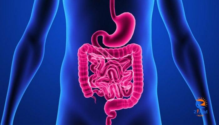 Experts explain leaky gut syndrome and its treatment