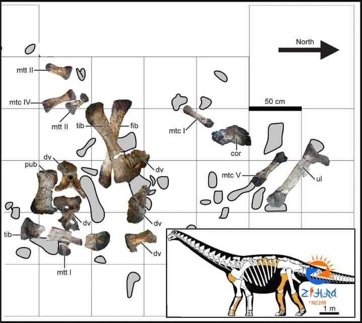 Paleontologists document 75 million year old dinosaur fossil in Egypt