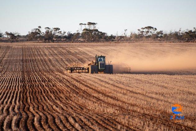 What this year’s El Nino means for wheat and global food supply