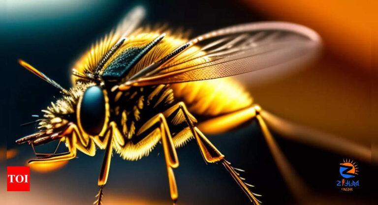 Virus: Scientists identify drug target for multiple mosquito-transmitted viruses