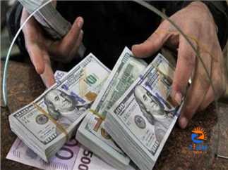 US dollar price remains stable in Egypt