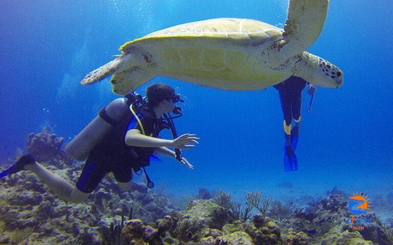 Dive into a world of Water Adventures on your USA Vacation!