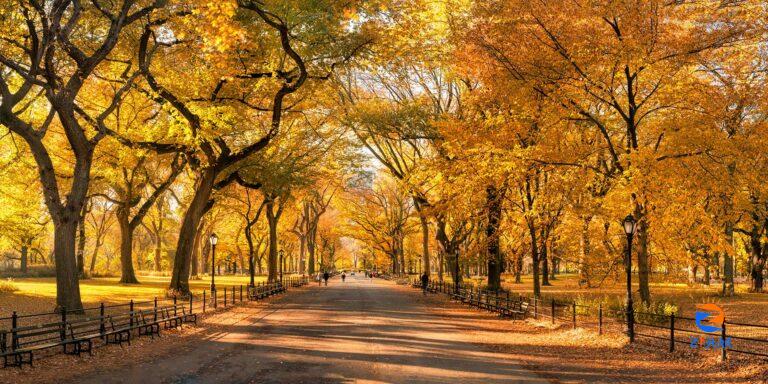 ▷ When is the Best Time to See Fall Foliage in NYC in 2023?