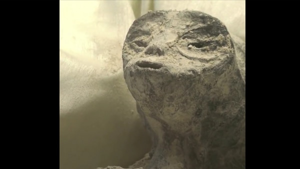 Watch: ‘Aliens’ found in Mexico; mysterious corpses cause stir among scientists, DNA found has no known parallels