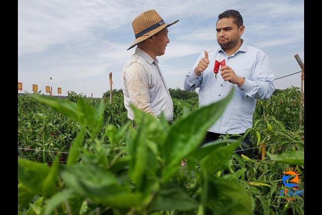 Blossoming agricultural cooperation along Belt and Road