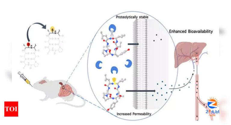 IISc finds new way to boost bioavailability of drug molecules