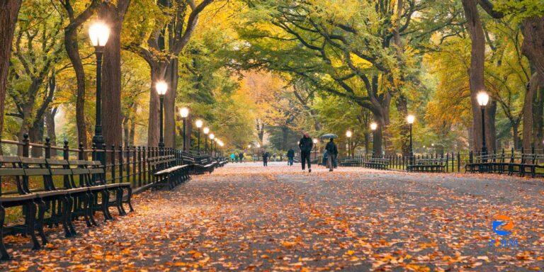 ▷ 24 AMAZING Free Things to Do in NYC in Fall 2023