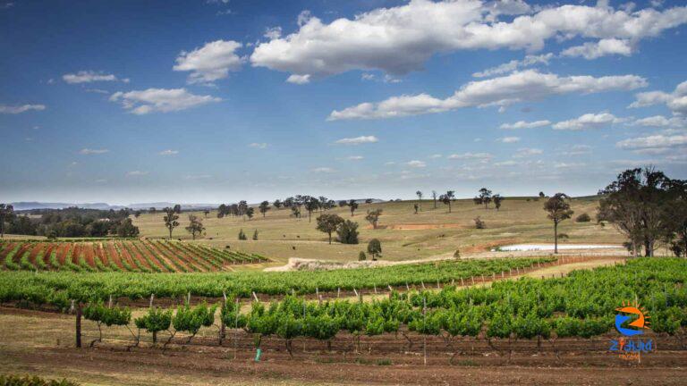 Down Under and Uncorked: Exploring Australia’s Wine and Travel Treasures