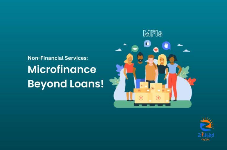 Non-Financial Services in MFI: Microfinance Beyond Loans