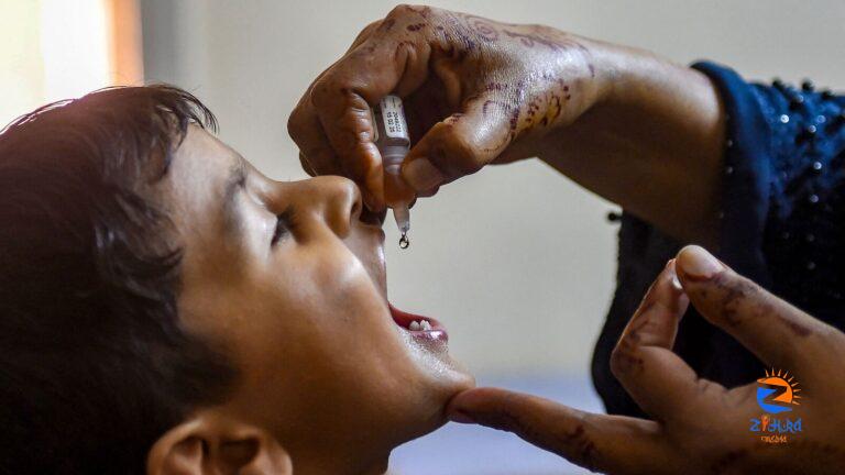 World Polio Day highlights global efforts to end poliomyelitis worldwide