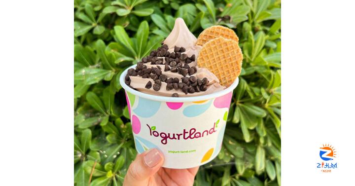 Yogurtland Introduces Brown Butter Chocolate Chip Cookie Frozen Yogurt