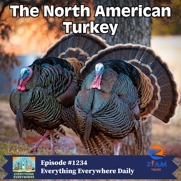 A History of the Turkey