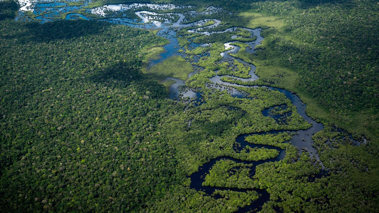 Amazon deforestation falls more than 20 percent to its lowest levels in 5 years