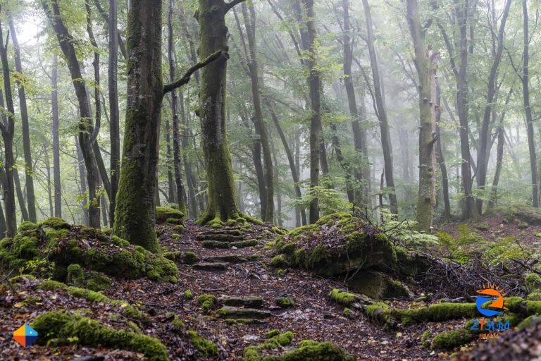 Hiking on the Mullerthal Trail in Luxembourg