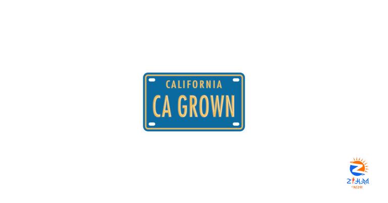 California Grown Names Red Door Interactive its Marketing Agency Partner