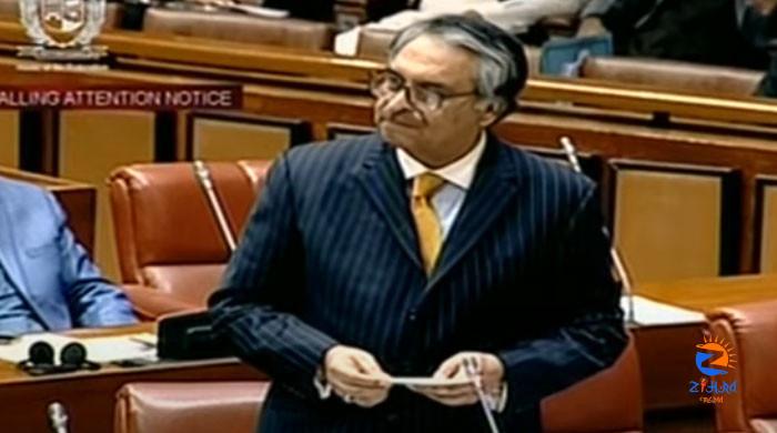 Govt ready to bring injured Palestinians to Pakistan for treatment, Senate told