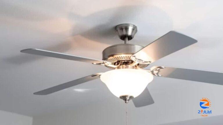 Union Minister Piyush Goyal Advises People To Be Cautious While Buying Ceiling Fans