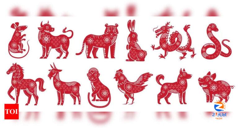 Chinese Horoscope 2024: What’s in Store for You in the Chinese Horoscope 2024? |