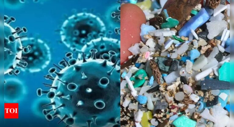 Covid-19 led to reduction of microplastics in Goa’s Mandovi, Zuari estuaries: Research paper