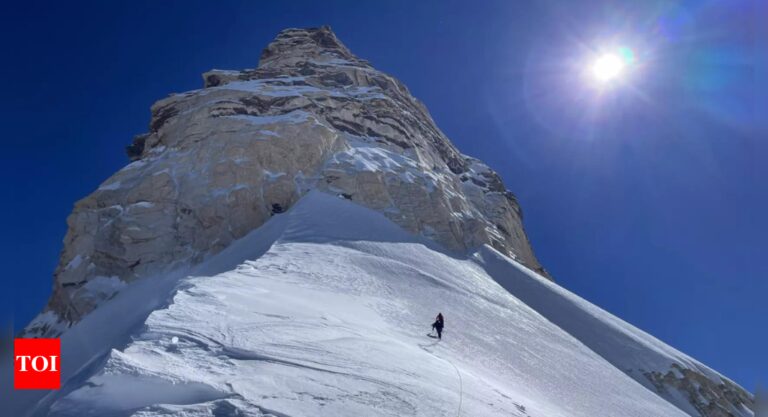 Pollution: Cutting pollution to Covid pandemic level may prevent Himalayan glaciers from disappearing: Study