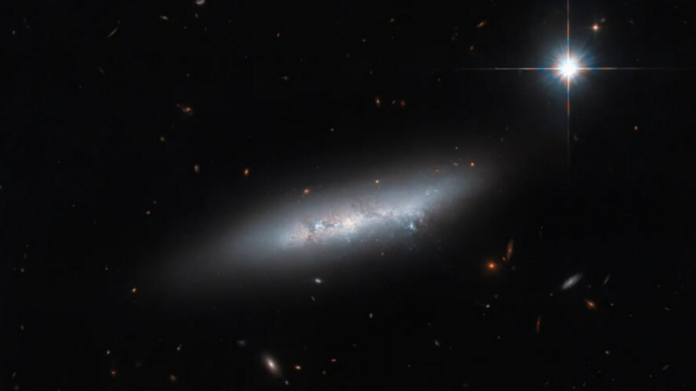 Nasa’s Hubble reveals captivating image of irregular galaxy NGC 2814