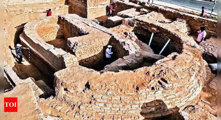 Archaeologists Discover Continuous Human Settlement Dating Back to 1,400 BCE in Vadnagar, Gujarat |