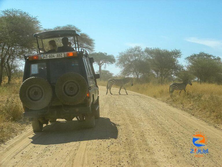 How to Get to Serengeti National Park From Arusha