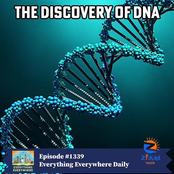 The Discovery of DNA