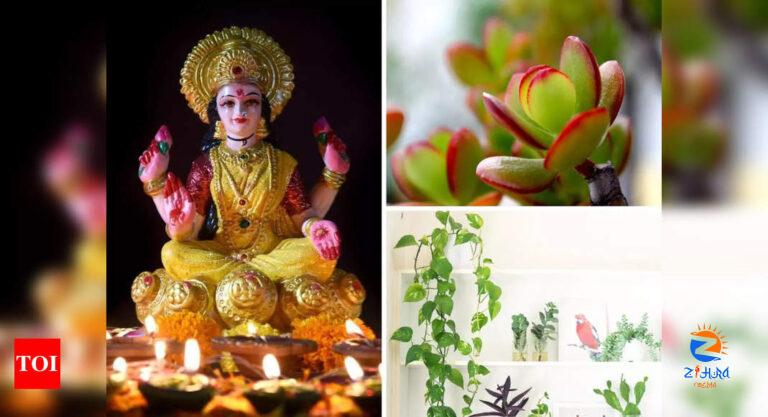 Vastu guide to plant selection and placement