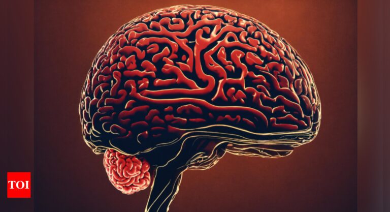 Tapeworm larvae found in man’s brain – how did they get there?