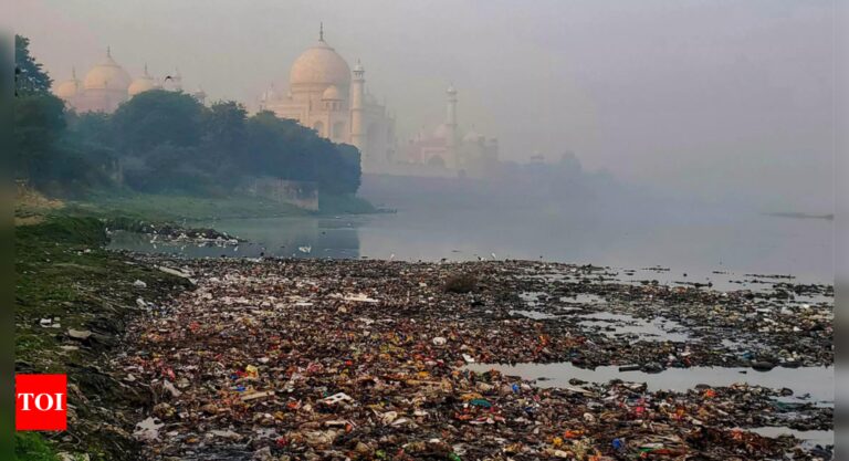 Microplastics may pose a risk to the Indo-Gangetic plain: Study