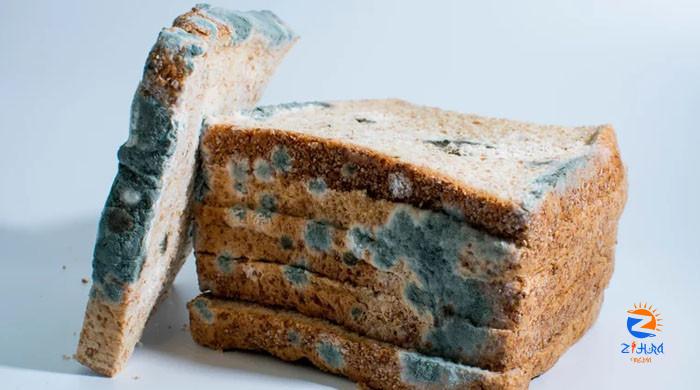 Eating moldy bread may not make you sick — but here’s the catch