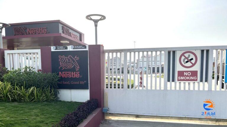 Nestle India Q4 Results: Net Profit Jumps 26.7% YoY To Rs 934 Crore, Rs 8.50 Dividend Declared