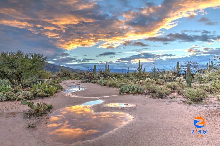 Guide To 10 Best Trails in Sabino Canyon