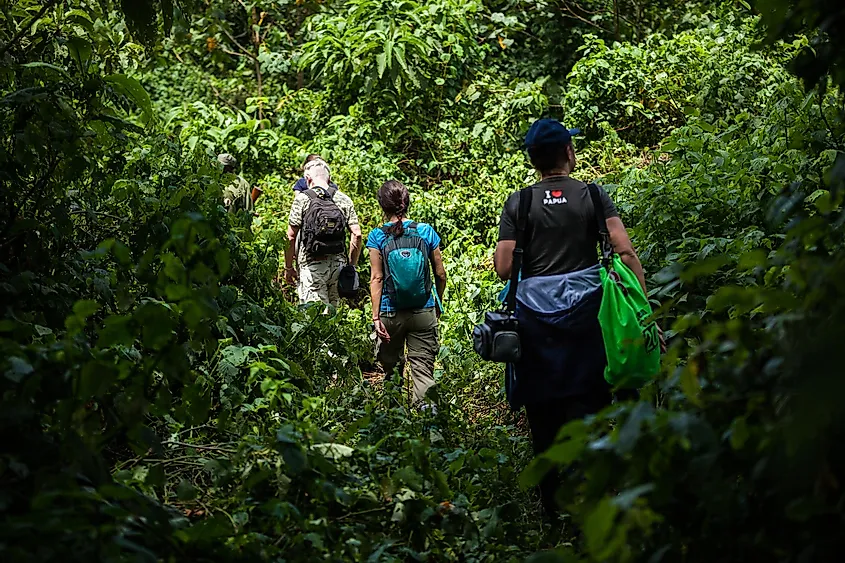 A Guide to Climbing the Rwenzori Mountains