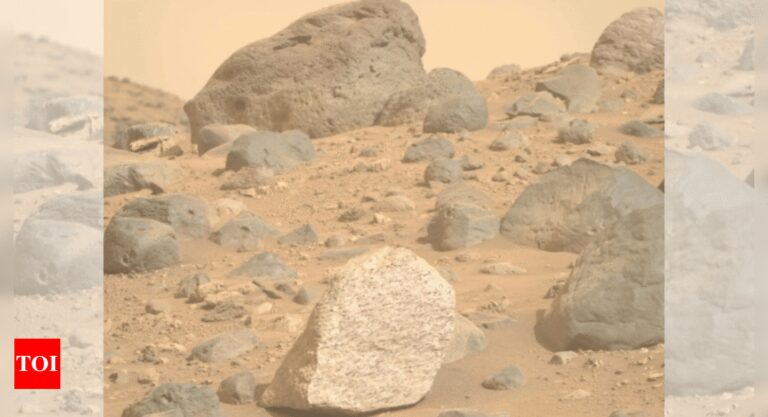 ‘Atoco Point’: Nasa’s rover stumbles upon rare boulder unseen before on Mars