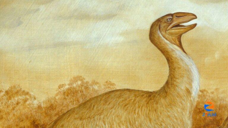 Pre-historic discovery: Scientists find complete skull of 230 kg ‘giant goose’ in Australia