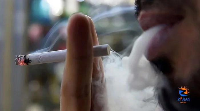 Cancer Society urges discouragement of tobacco scenes in TV shows