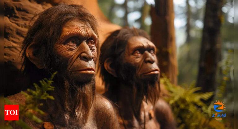 Denisovans: Survival secrets revealed: How Denisovans thrived on top of the world