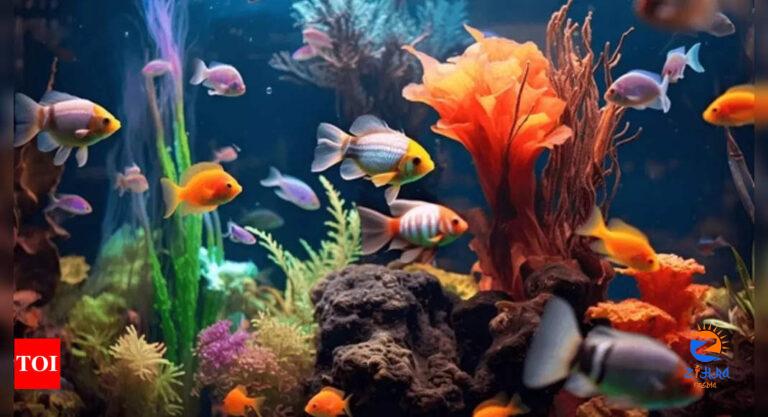 Benefits of keeping Fish tank at home: A guide to positive energy and prosperity |