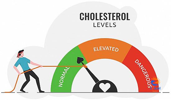 How low should LDL cholesterol go?