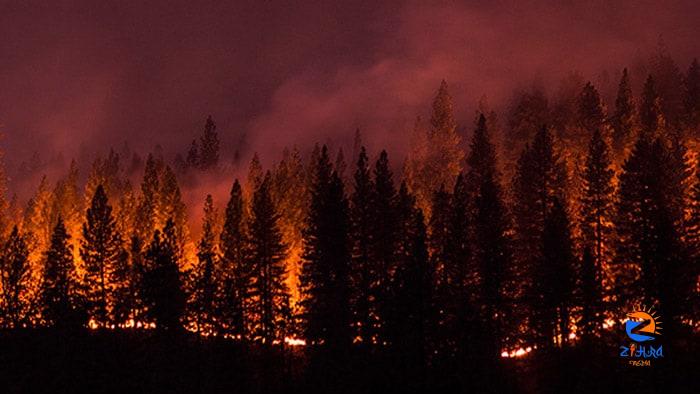 Safety Guidelines: Wildfires and Wildfire Smoke | Wildfires